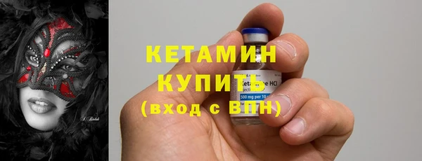 сатива Баксан