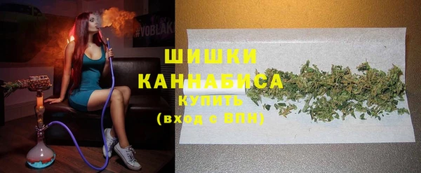 сатива Баксан