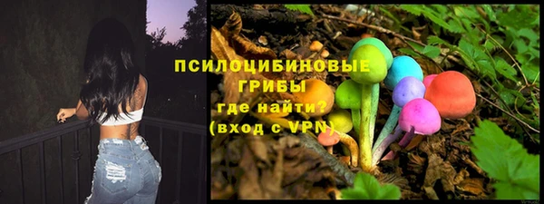 сатива Баксан